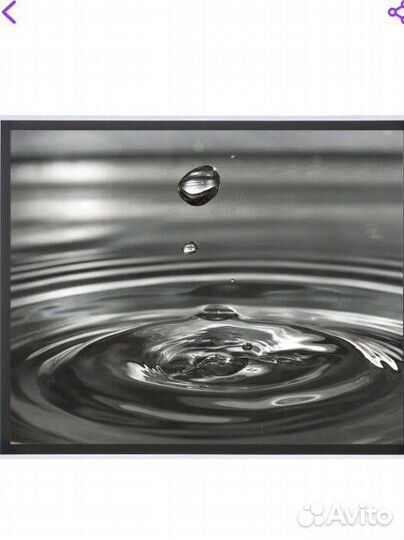 Постер 43 на 53