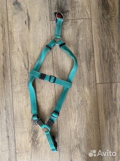 Шлейка для собаки