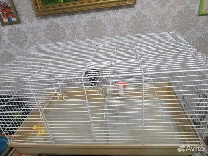 Клетка для грызунов 57/31/31