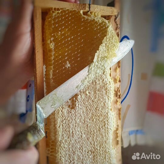 Мед в сотах