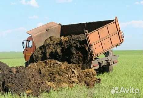 Навоз чернозем торф песок камаз,газон,И мешках