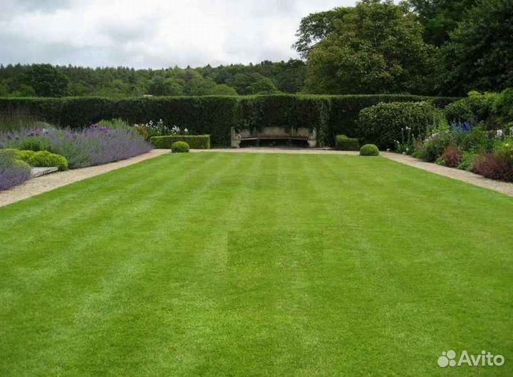Рулонный газон /продажа/укладка
