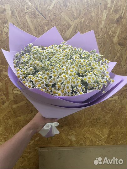 Букеты из ромашек