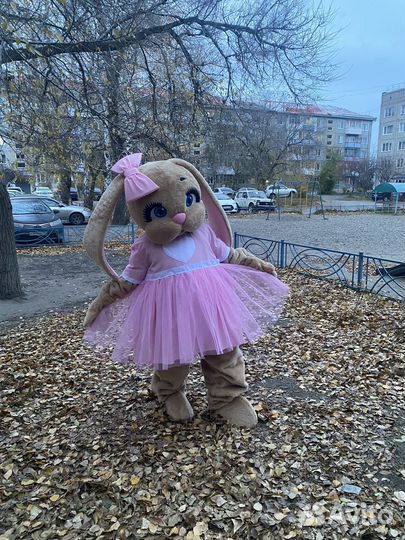 Организация праздников