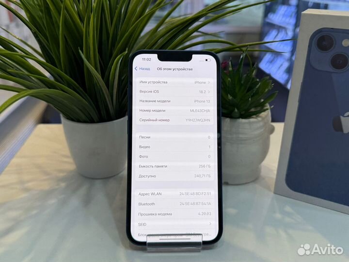 iPhone 13, 256 ГБ