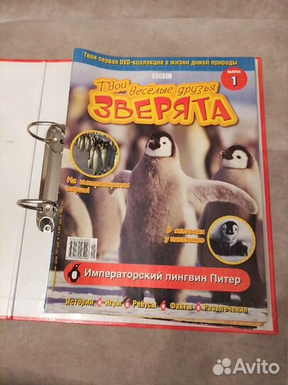 Твои веселые друзья зверята