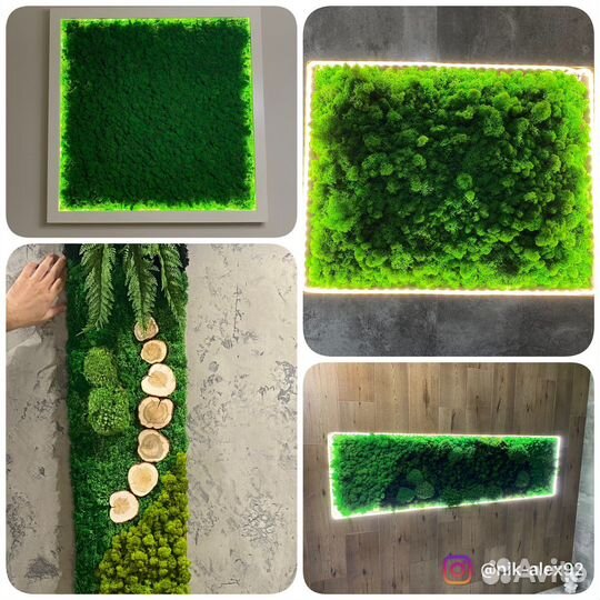 Стабилизированный мох панно