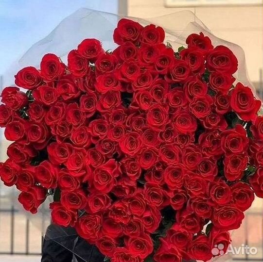 Цветы розы букеты 25 31 35 51 101 251 Доставка