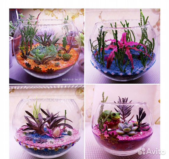 Флорариум премиум класса