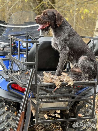 Устройство нейтрализации звука