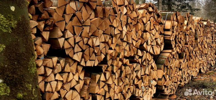 Дрова на дачу