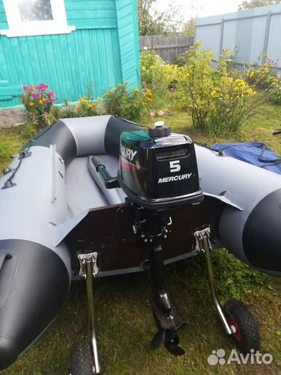 Мотор mercury