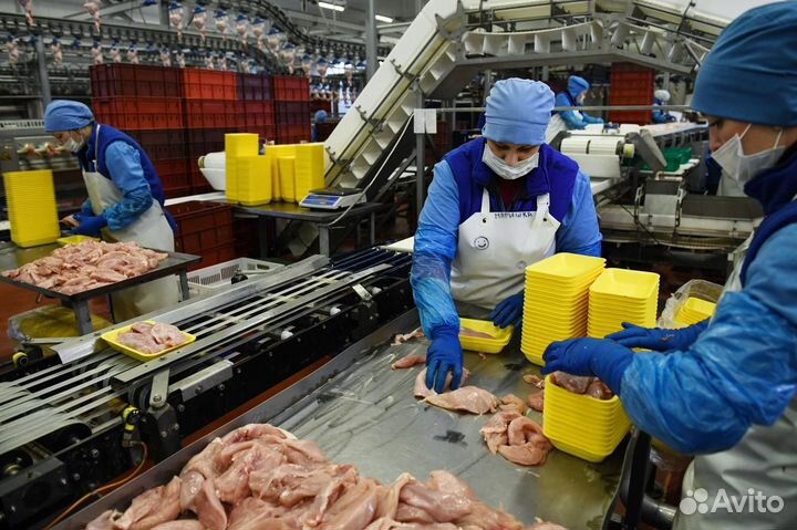 15 смен Фасовщик/ца в Шахты Питание и Проживание