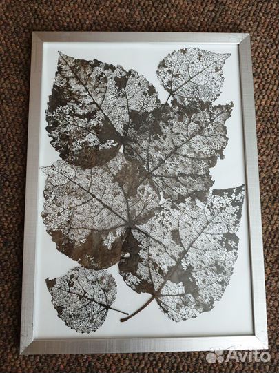 Картина гербарий