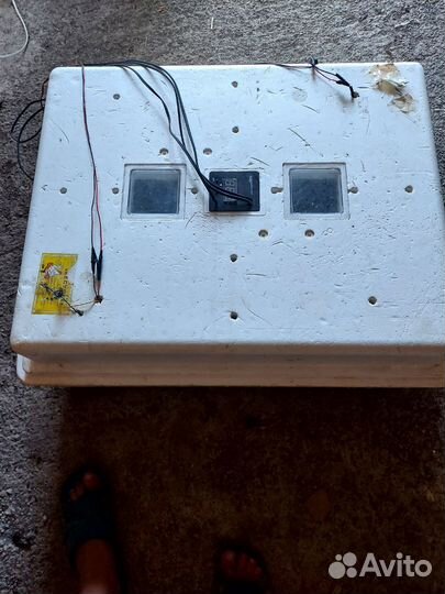 Инкубатор для яиц автоматический бу