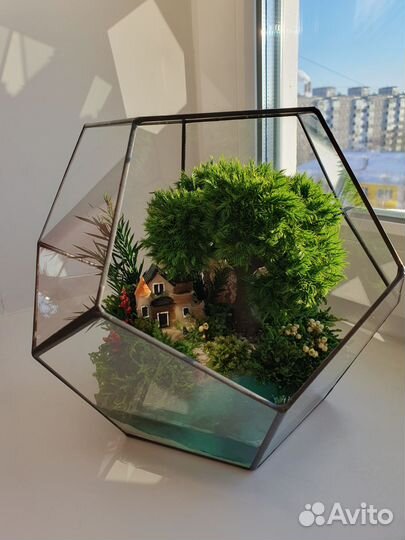 Флорариум моссариум