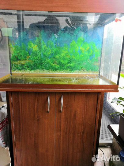 Аквариум с тумбой 120 л