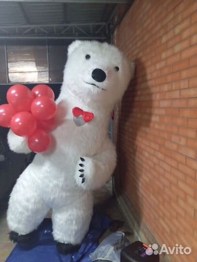 Белый мишка Поздравление