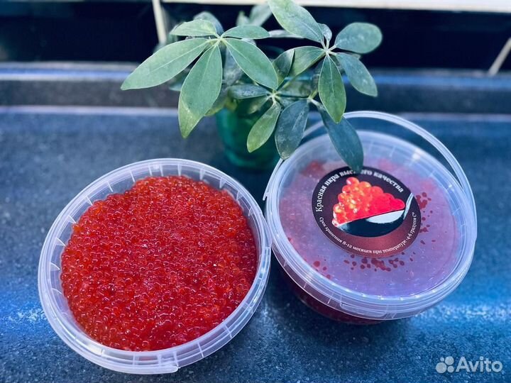 Красная икра горбуши 2023 года