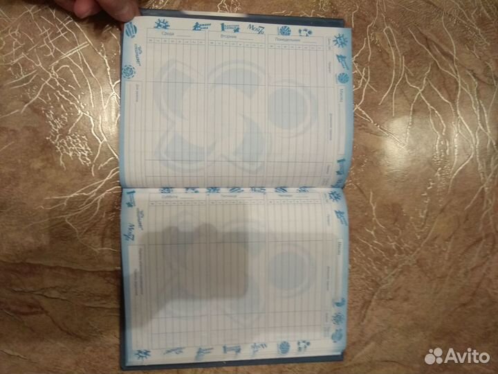 Дневник школьника