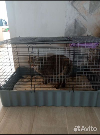 Большая клетка для собаки/кролика/крыс/шиншиллы