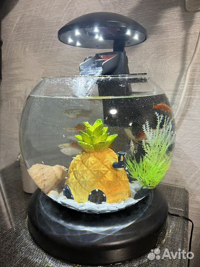 Аквариум для рыб Cascade Globe 6.8 л