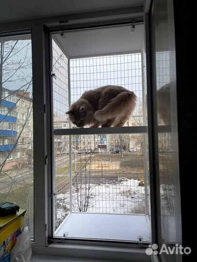 Балкон для кошек