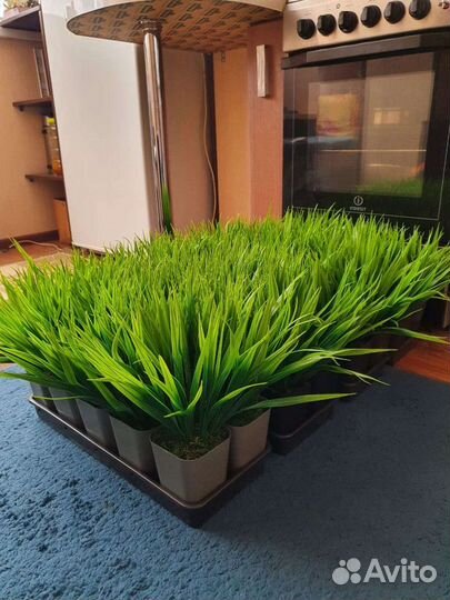 Искусственная трава