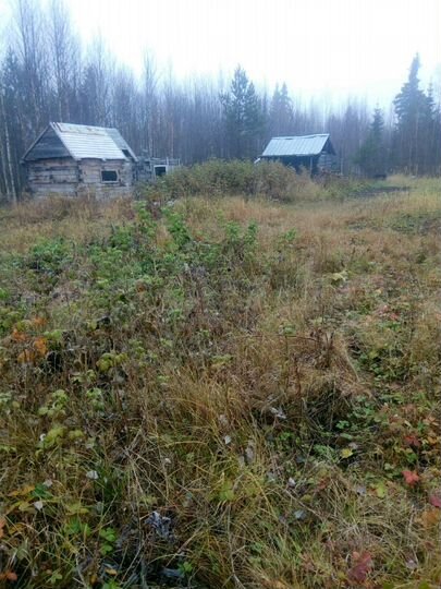 Дача 20 м² на участке 10 сот.