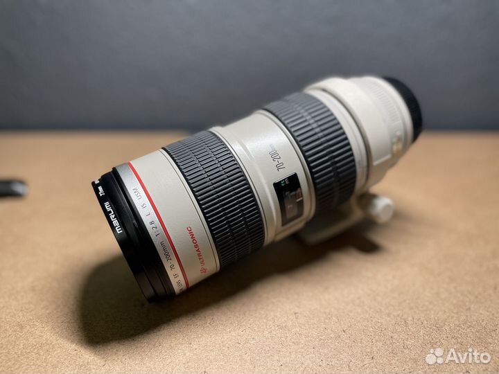 Объектив Canon EF 70-200 mm f/ 2.8 L USM