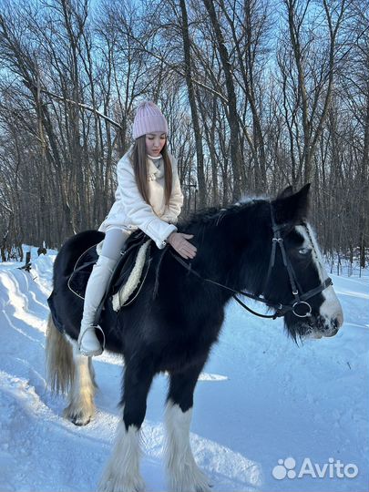 Конные прогулки