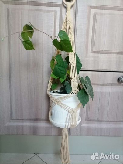 Кашпо для цветов подвесное