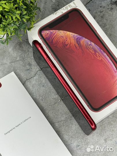 iPhone Xr, 64 ГБ