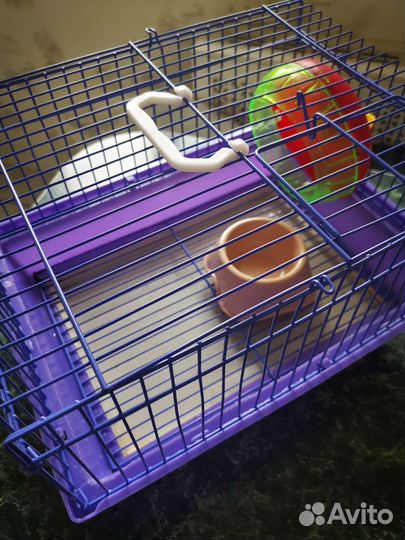 Клетка для джунгарского хомяка