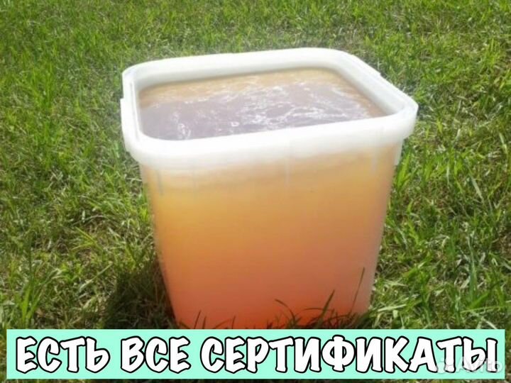 Мёд оптом с Aлтaйского крaя
