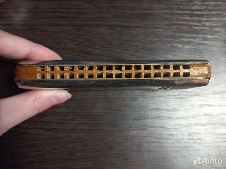 Губная гармошка Aidas Kaunas