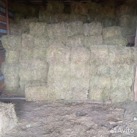 Продам сено, солому в тюках