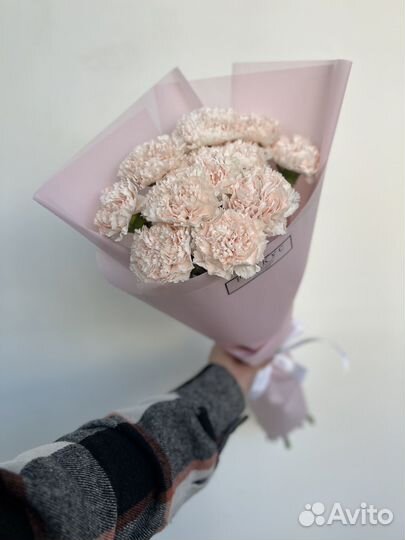 Гвоздика розовая, кремовая. Букет цветов. Диантусы