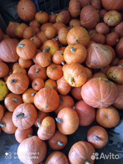 Продукты питания