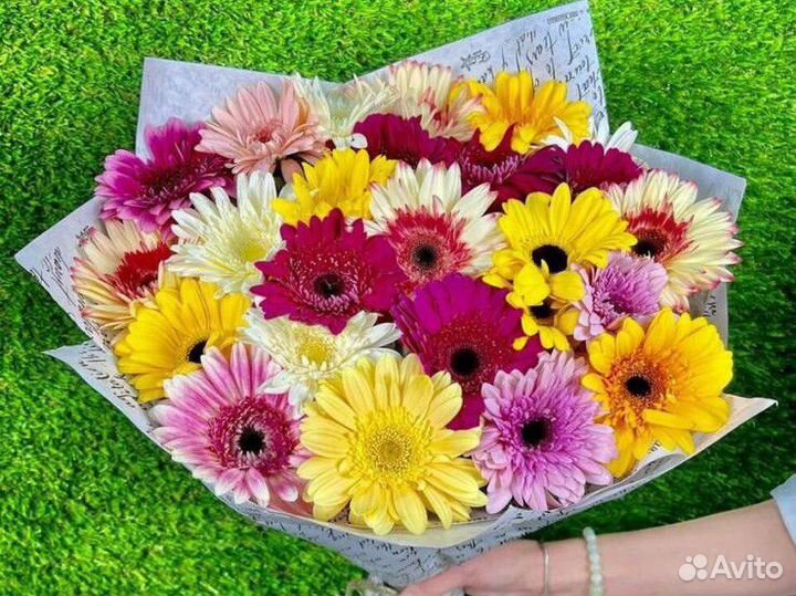 25 Гербер микс Доставка Саратов Энгельс