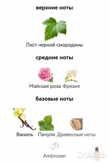 Si Giorgio Armani для женщин