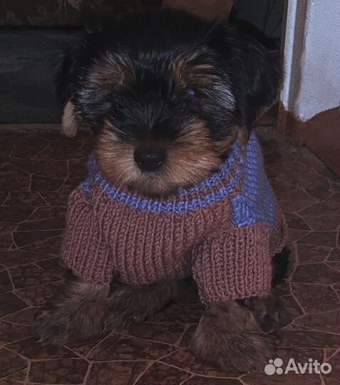 Вязание на заказ (модели любой сложности )