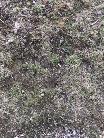 Участок 13 сот. (ИЖС)