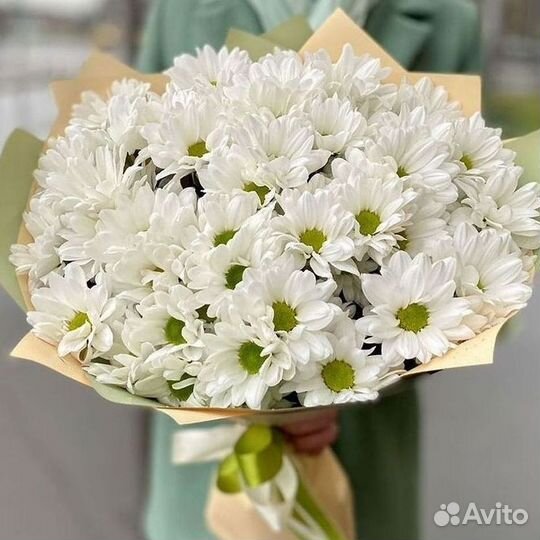 Хризантема. Букеты Цветы доставка