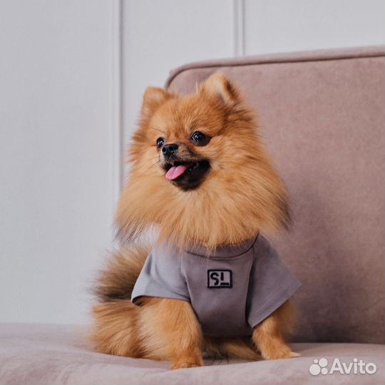 Футболка для собак