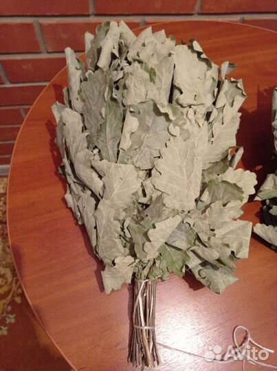 Продам дубовые веники