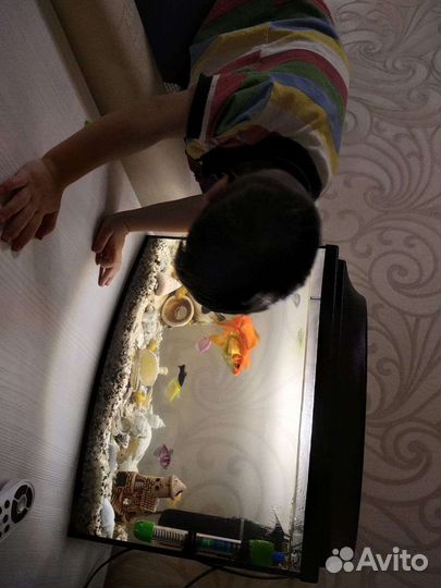 Аквариум на 45 л со всем необходимым