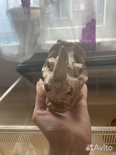 Террариум для змеи