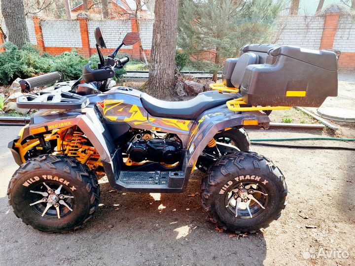 Квадроцикл Motoland Wild Track X 200