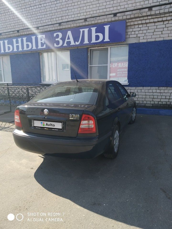 Skoda Octavia: фото владельца